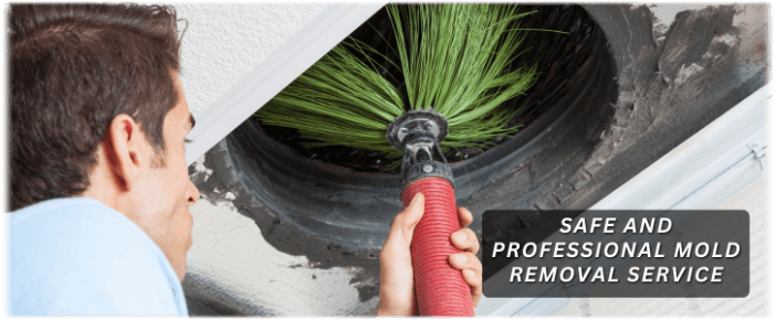 Air Duct Mold Removal in Howell NJ