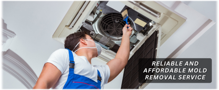 HVAC Mold Removal Howell NJ